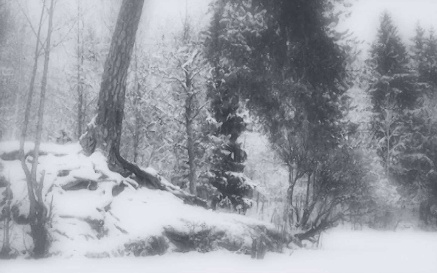 Decentraland screenshot