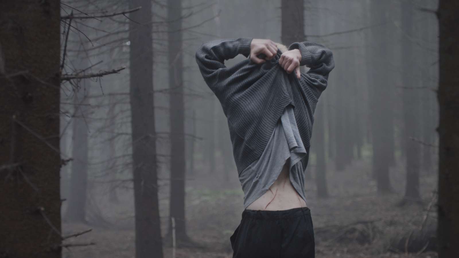 Decentraland screenshot